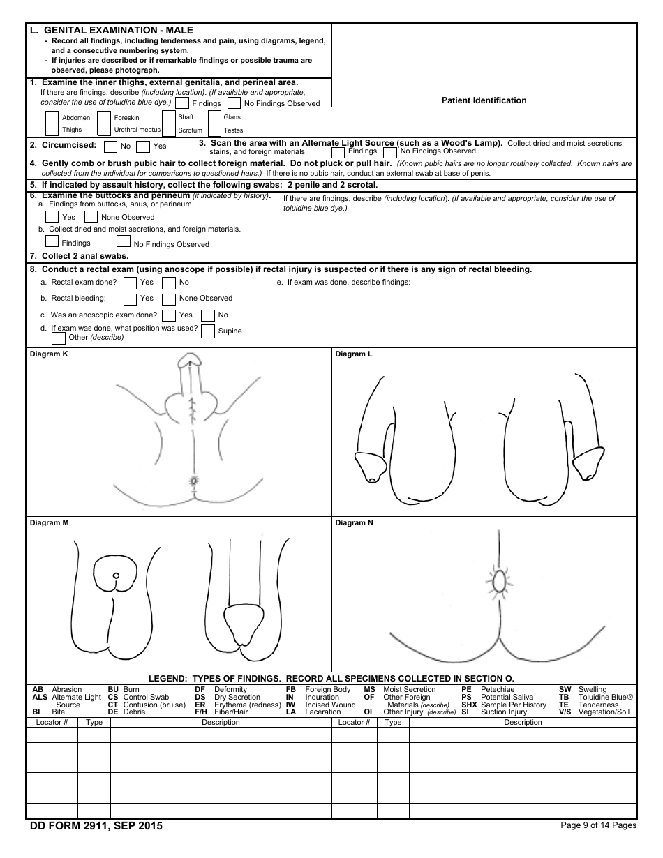 DD Form 2911 DoD Sexual Assault Forensic Examination (Safe) Report, Page 9