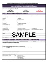 DD Form 3024 Annual Periodic Health Assessment, Page 19
