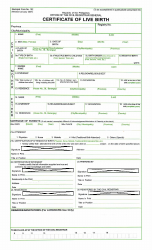 Form 102 &quot;Certificate of Live Birth&quot; - Philippines