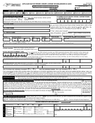 Document preview: Form MV-44 Application for Permit, Driver License or Non-driver Id Card - New York