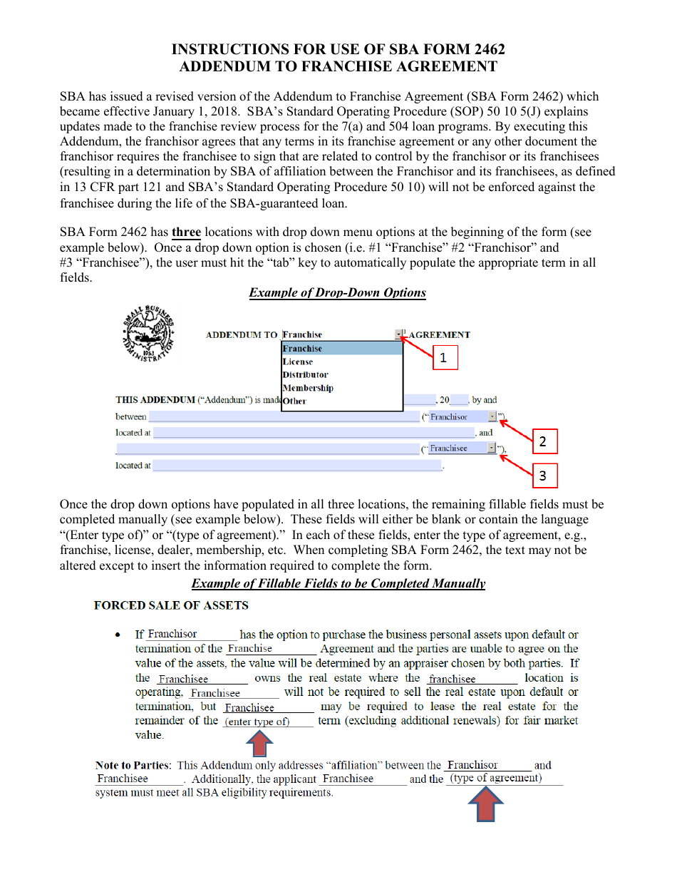 SBA Form 2462 - Fill Out, Sign Online and Download Fillable PDF ...