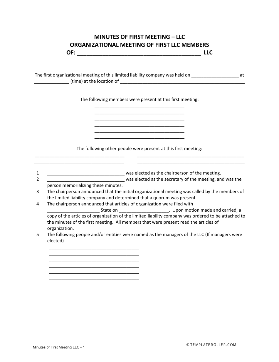 LLC Minutes of First Meeting Template Download Fillable PDF