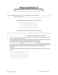 LLC Minutes of First Meeting Template