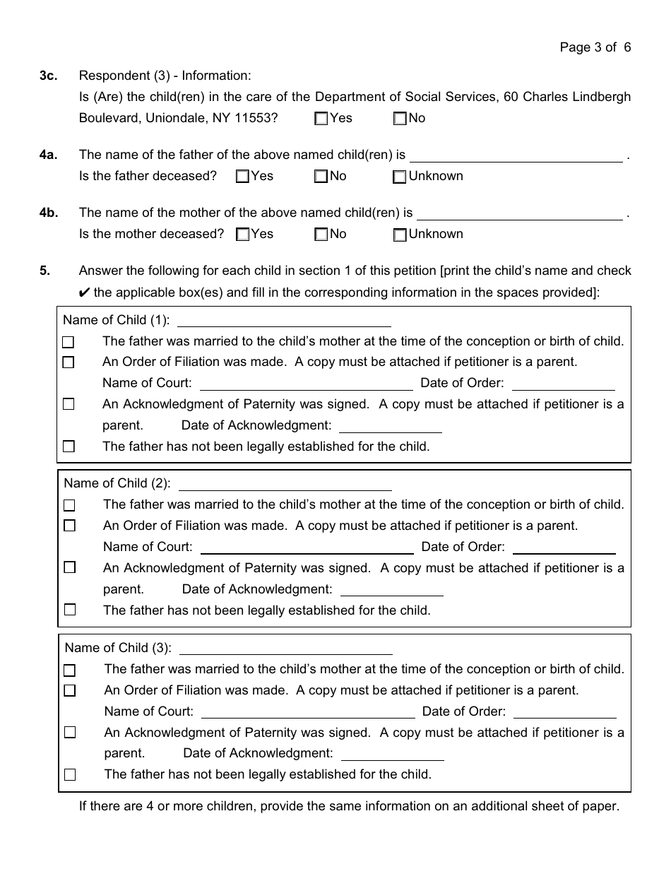 General Form 17 Petition for Custody / Visitation - Nassau County, New York, Page 3