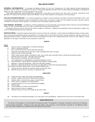 Form LIC403 Balance Sheet - California, Page 2