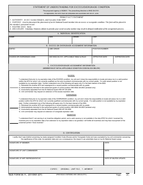NGB Form 36-11  Printable Pdf