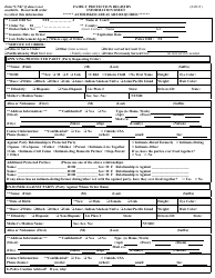 Information Sheet - Family Protection Registry - New York