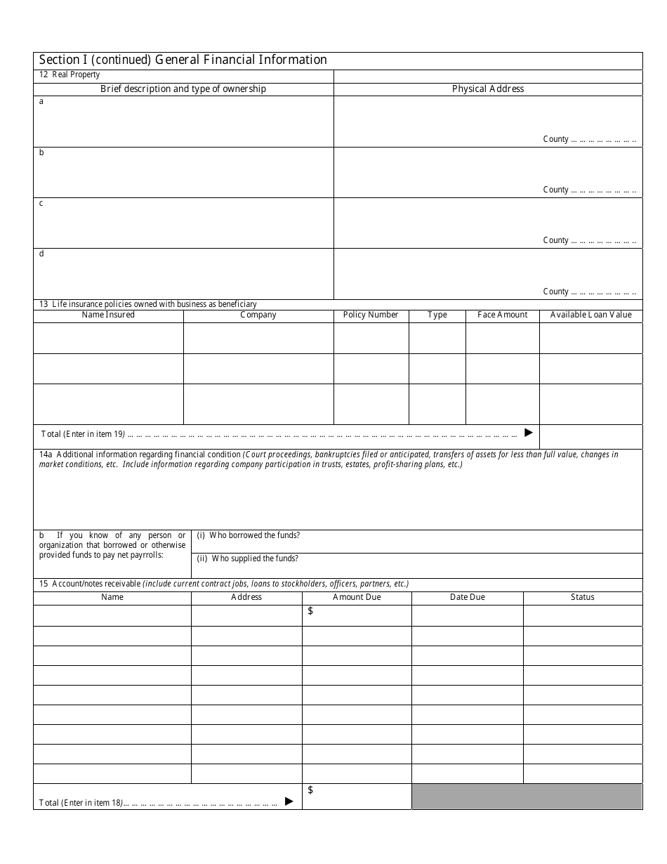 Commercial Debtor Financial Statement, Page 2
