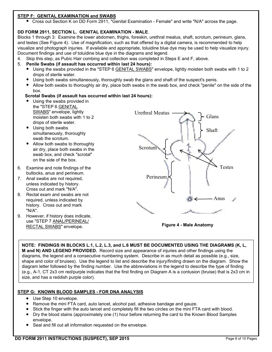 Download Instructions For Dd Form 2911 Dod Sexual Assault Forensic Examination Safe Report Pdf