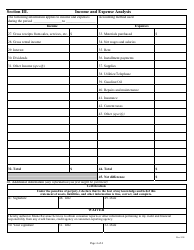 Debtor Financial Statement Form - Maine, Page 4