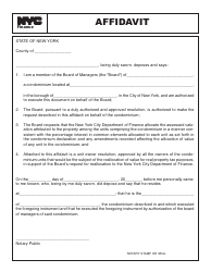 Affidavit Form - New York City, Page 2