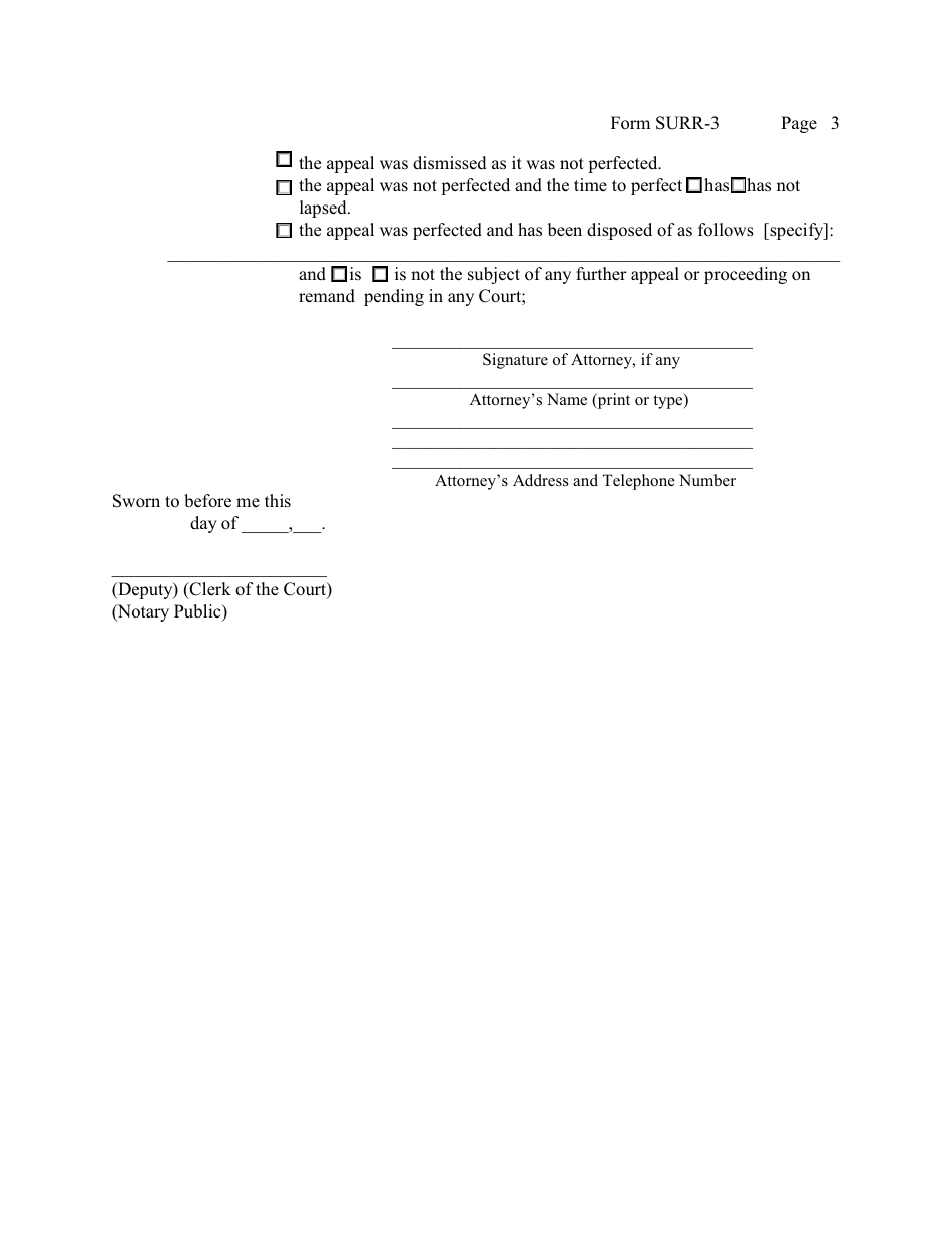 Form 10-C Affidavit Regarding Status of Appeal - New York, Page 3