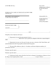 Document preview: Form 10-B Supplemental Affidavit (Private-Placement) - New York