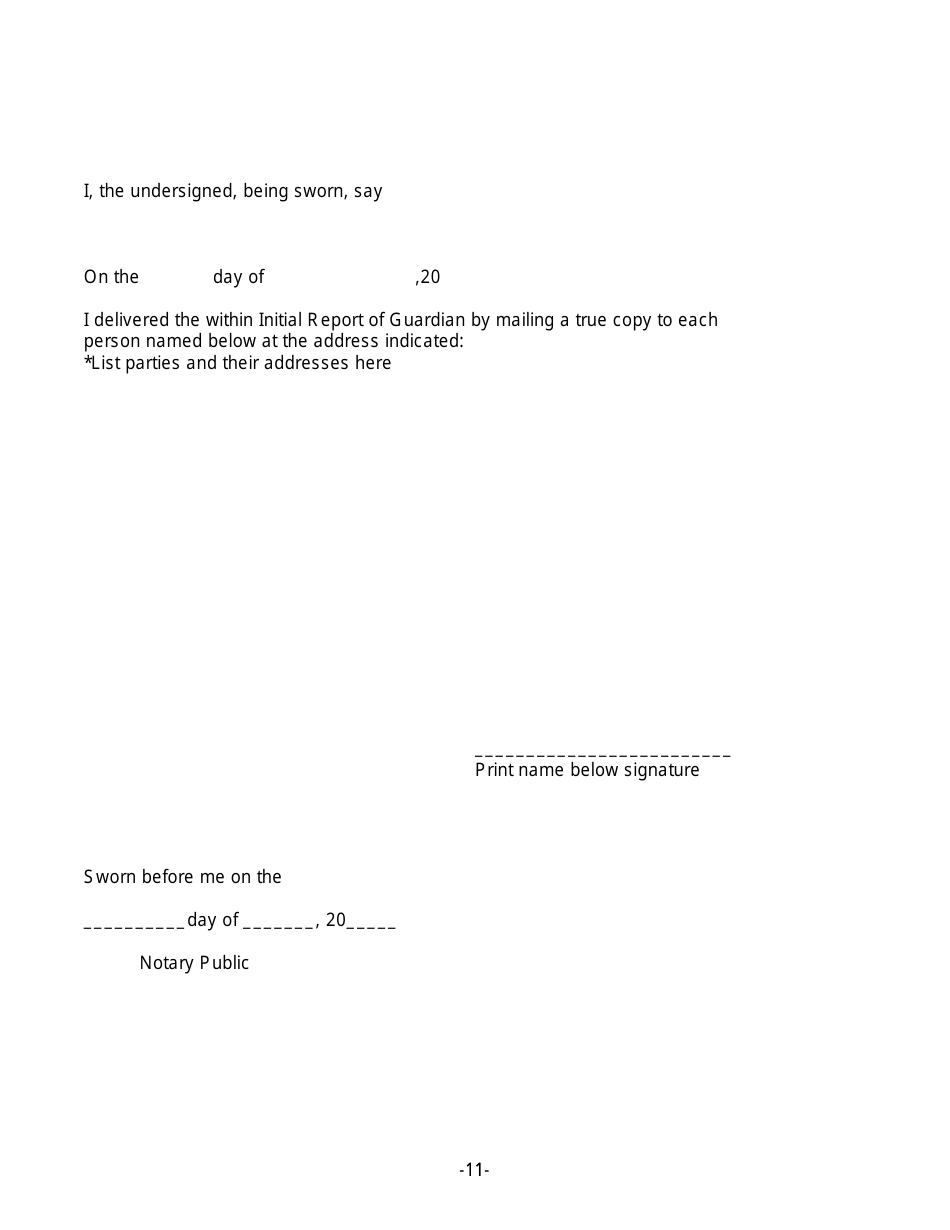 Initial Report Template - New York, Page 11