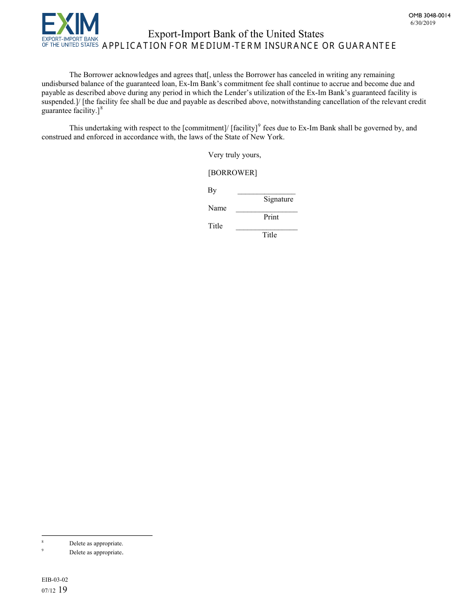 Form EIB-03-02 Application for Medium-Term Insurance or Guarantee, Page 19