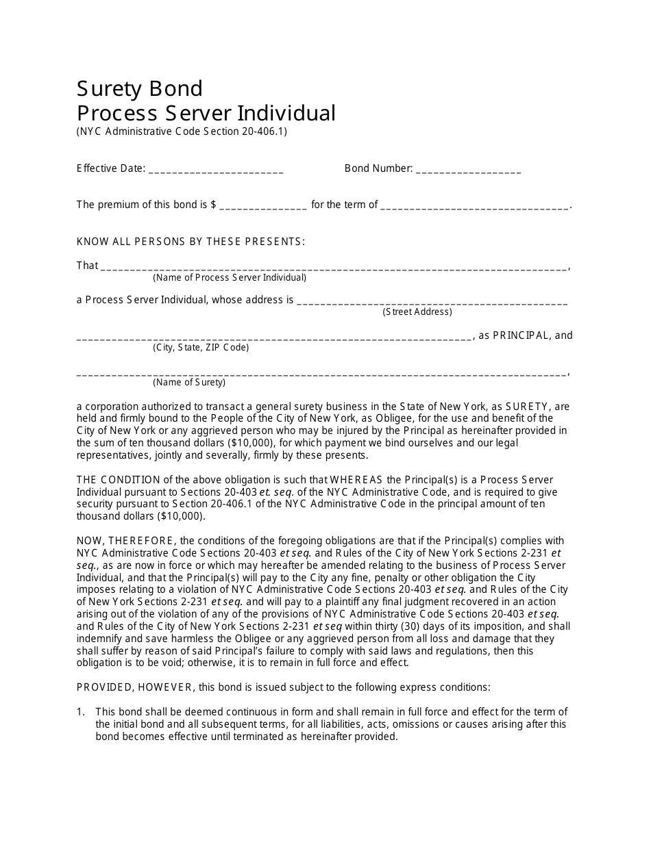 Surety Bond Process Serving Agency - New York City, Page 4