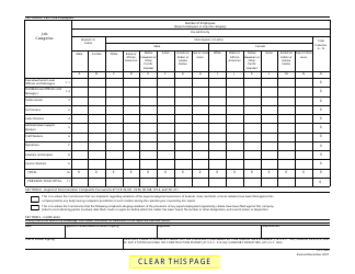 FCC Form 395 Common Carrier Annual Employment Report, Page 3