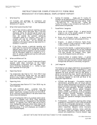 FCC Form 395-B Broadcast Station Annual Employment Report, Page 4
