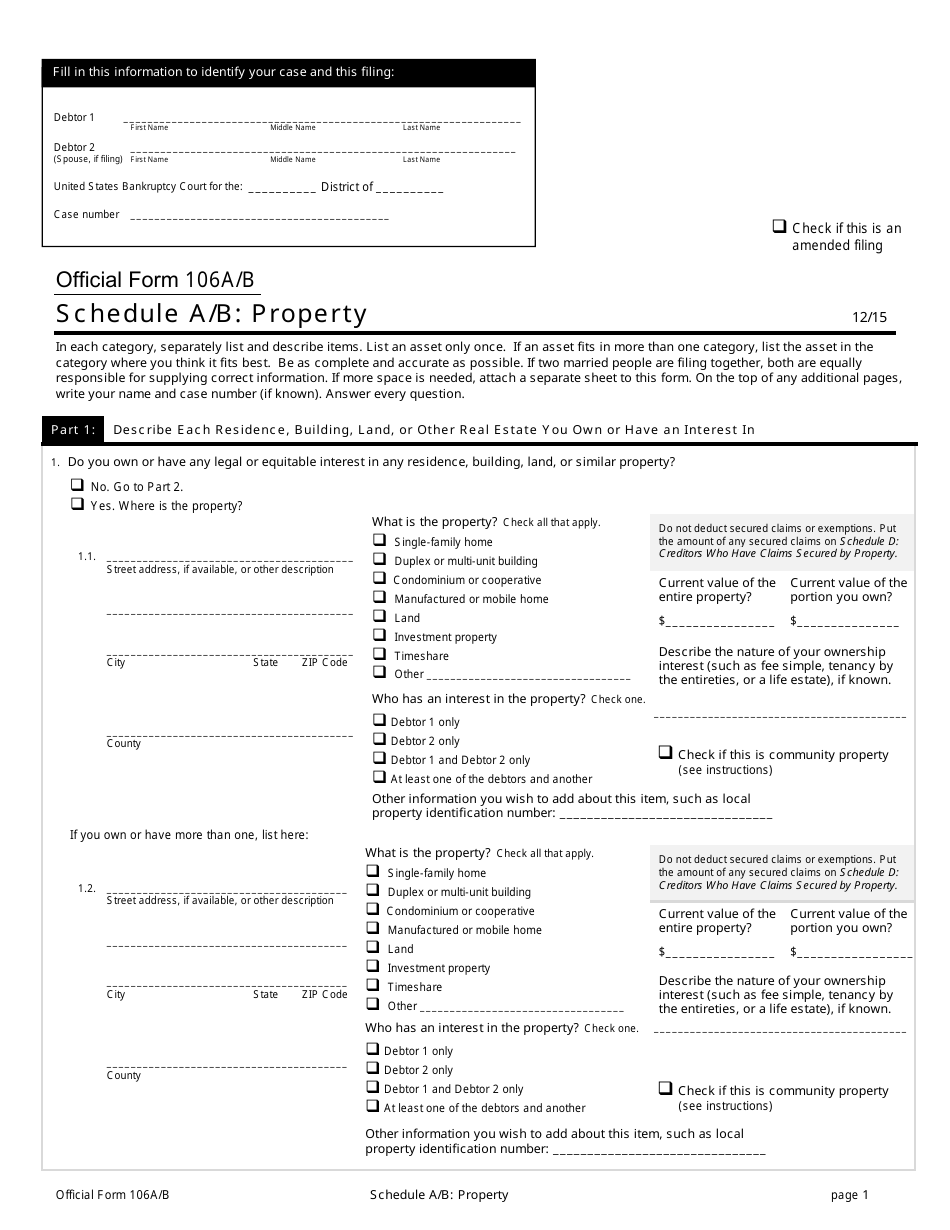 Official Form 106A / B Schedule A / B Property, Page 1