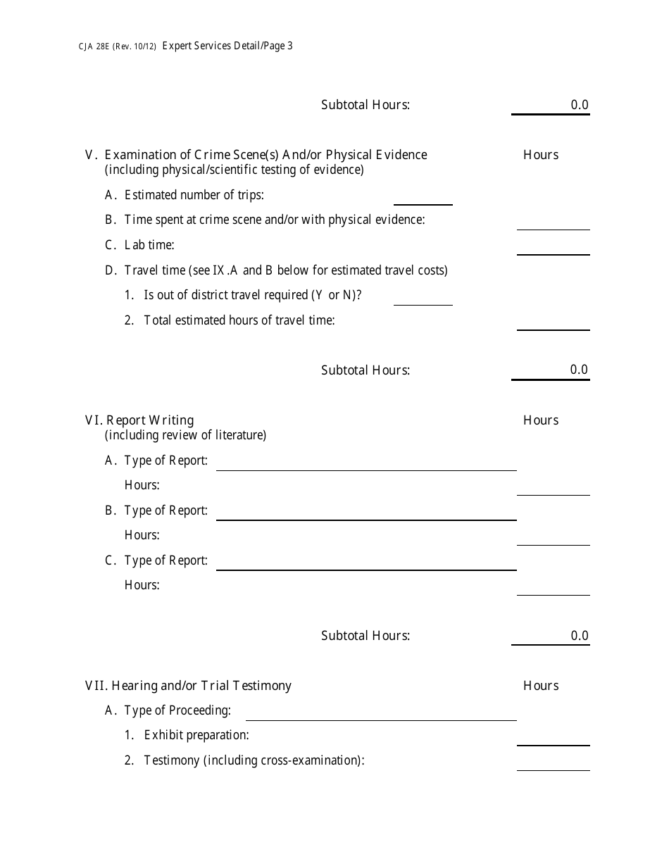 Form CJA28E Expert Services Detailed Budget Worksheet for Non-capital Representations With the Potential for Extraordinary Cost, Page 3