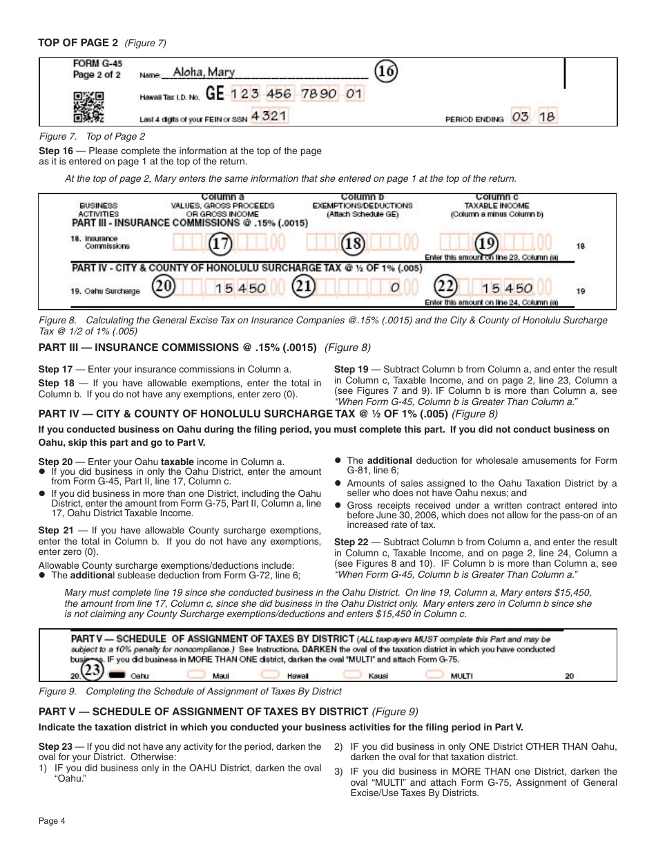 Instructions for Form G-45 General Excise / Use Tax Return - Hawaii, Page 4