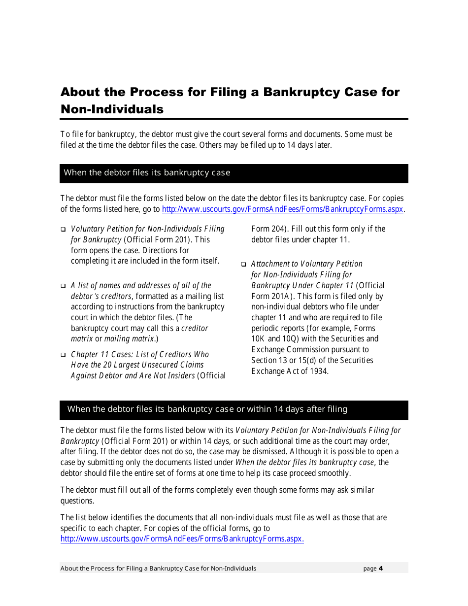 Instructions for Bankruptcy Forms for Non-individuals, Page 5