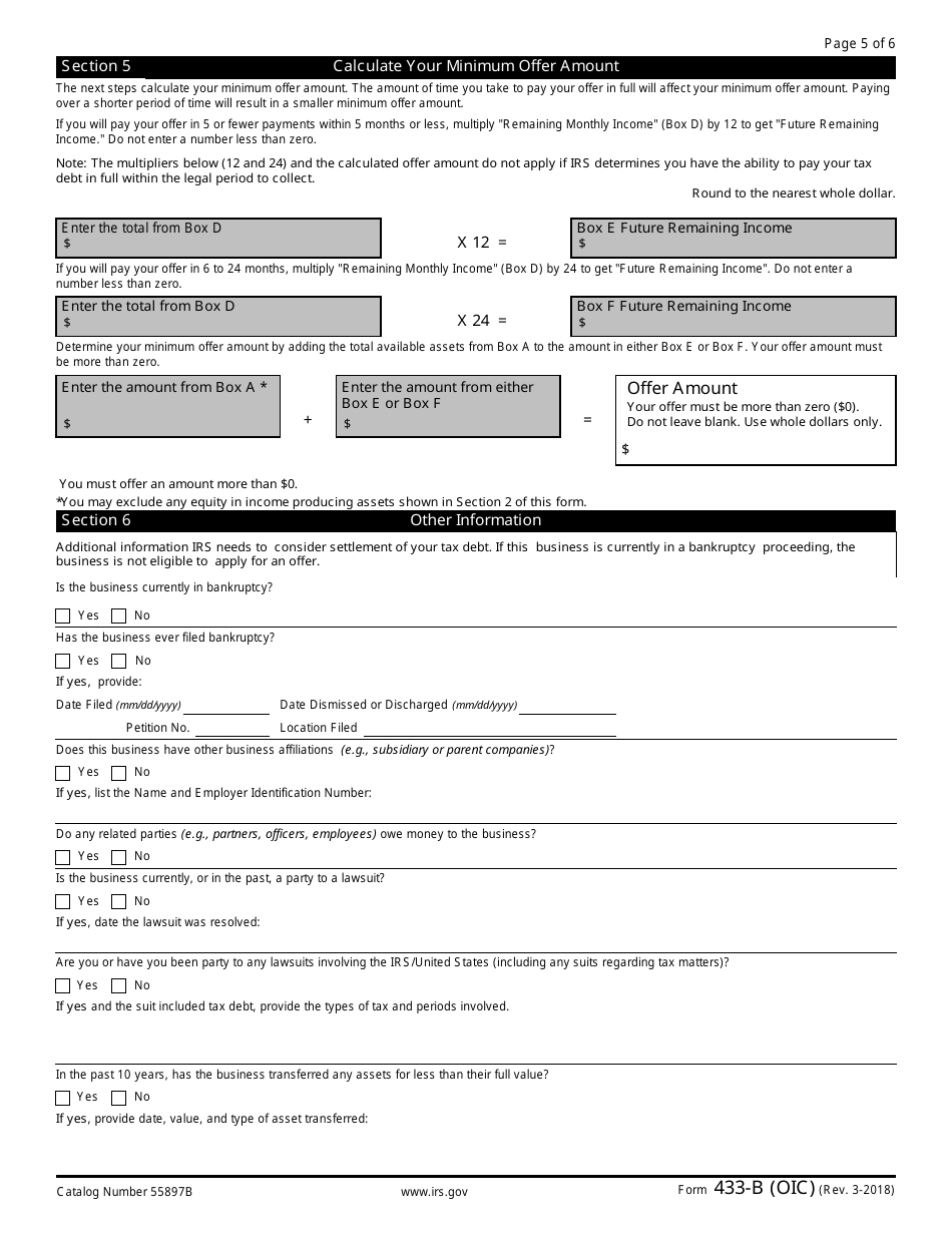 IRS Form 433-B (OIC) Collection Information Statement for Businesses, Page 5
