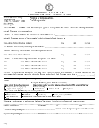 Form PAI Articles of Incorporation - Profit Corporation - Kentucky