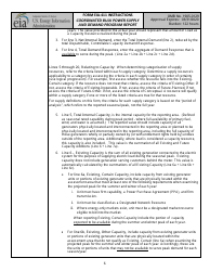Instructions for Form EIA-411 Coordinated Bulk Power Supply and Demand Program Report, Page 6