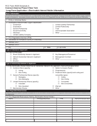 FCC Form 5625 Connect America Phase II New York Long-Form Application - Main Form, Page 4
