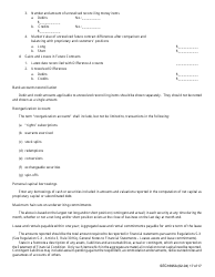 Instructions for SEC Form 1695, X-17A-5 Part II Focus Report, Page 17