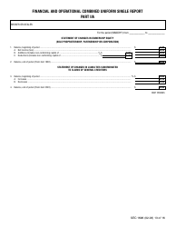 SEC Form 1696 (X-17A-5) Part IIA Focus Report, Page 8