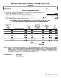 SEC Form 1696 (X-17A-5) Part IIA Focus Report, Page 9