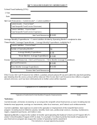 Document preview: Net Cash Resources Worksheet - Arizona