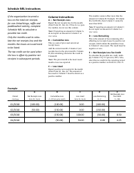 Schedule NRL Net Receipts Loss - Minnesota, Page 2