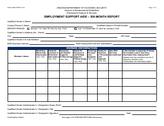 Document preview: Form DDD-1404B FORFF Six-Month Report - Employment Support Aide - Arizona