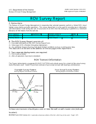 Document preview: Form BOEM-0141 Rov Survey Report