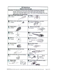 Form BOEM-0141 Rov Survey Report, Page 3