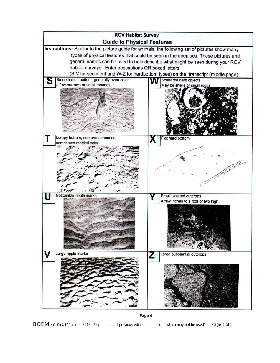 Form BOEM-0141 Rov Survey Report, Page 4