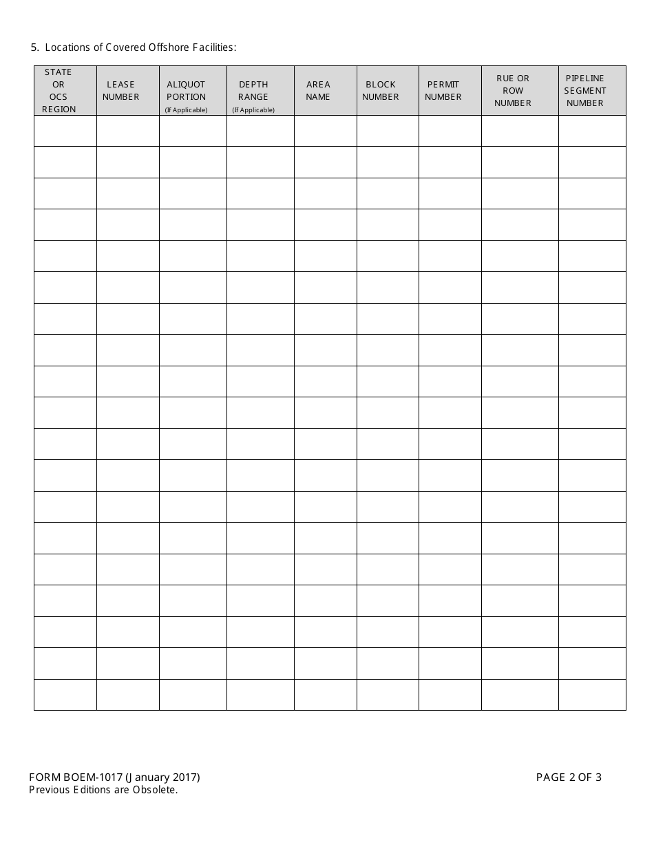 Form BOEM-1017 Appointment of Designated Applicant, Page 2