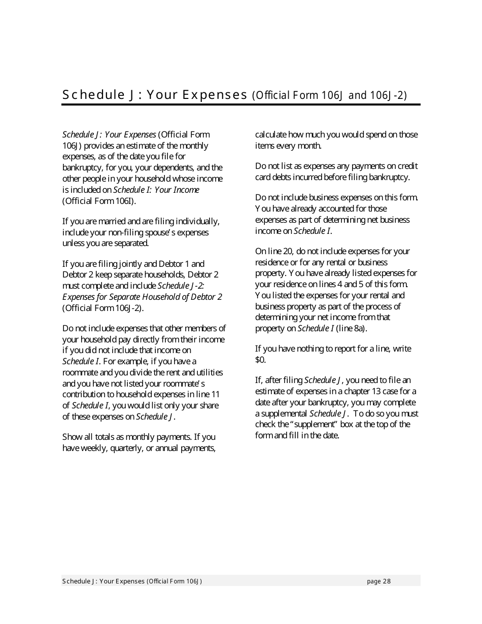 Instructions for Bankruptcy Forms for Individuals, Page 30