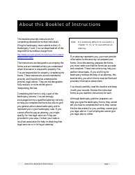 Instructions for Bankruptcy Forms for Individuals, Page 3