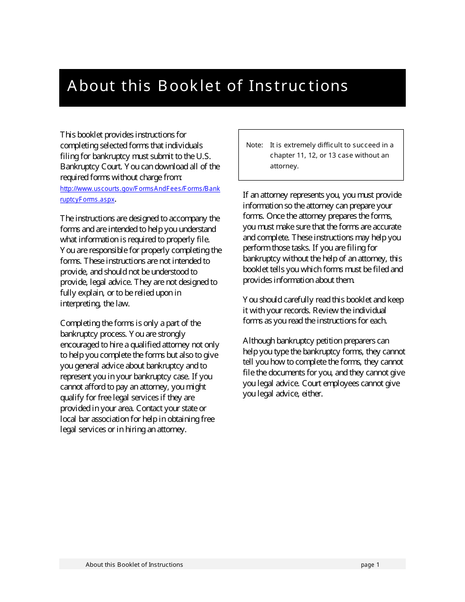 Instructions for Bankruptcy Forms for Individuals, Page 3