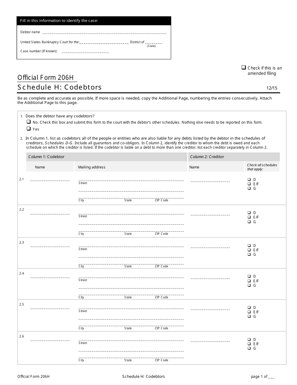 Official Form 206H Schedule H Codebtors, Page 1