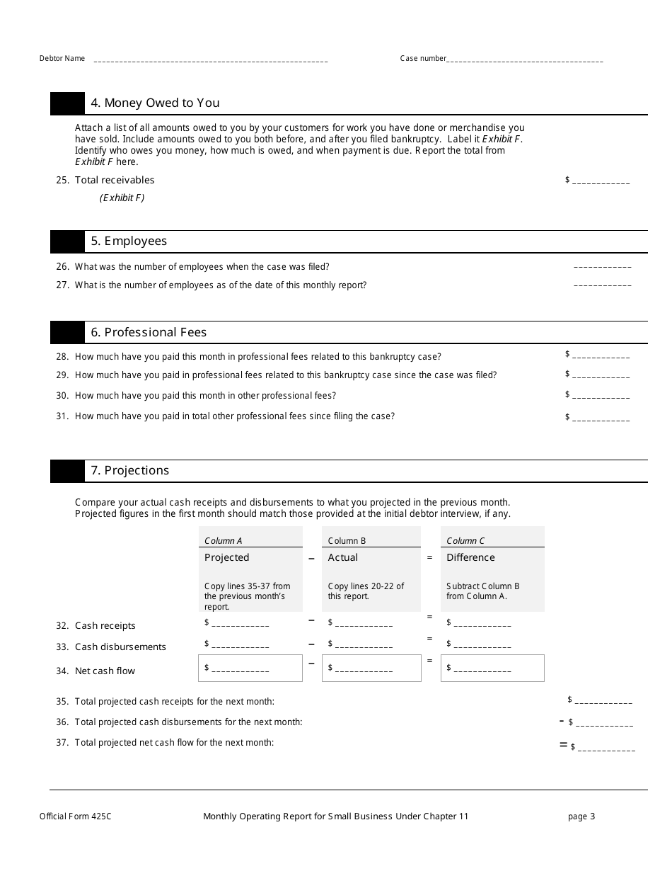 Official Form 425C Monthly Operating Report for Small Business Under Chapter 11, Page 3