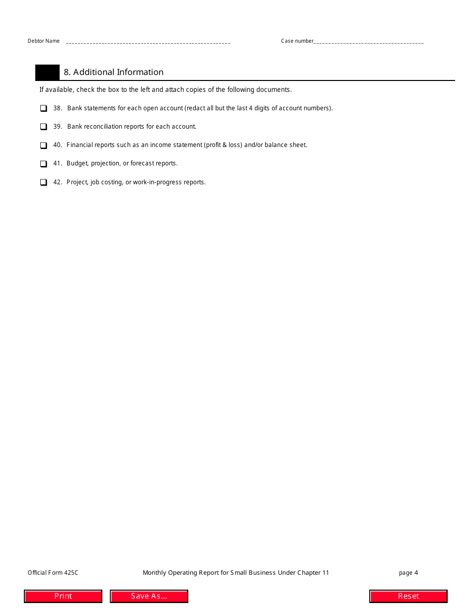 Official Form 425C Monthly Operating Report for Small Business Under Chapter 11, Page 4