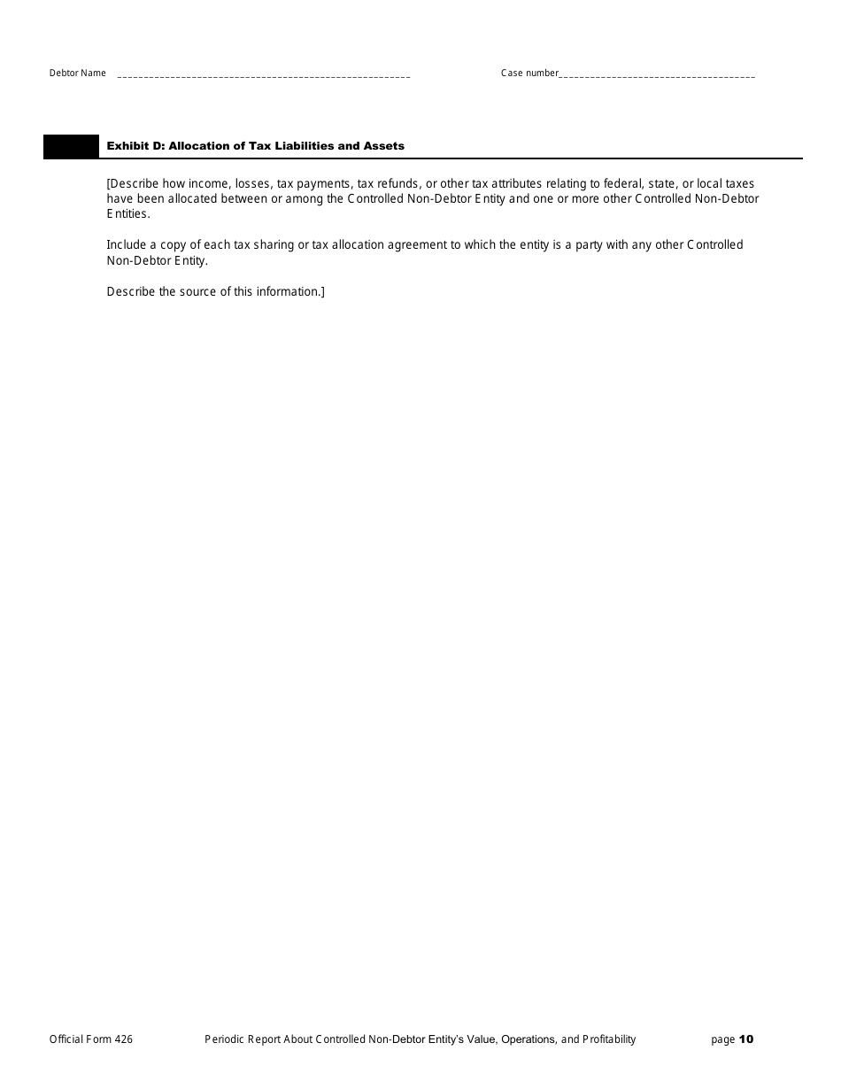 Official Form 426 Periodic Report Regarding Value, Operations, and Profitability of Entities in Which the Debtors Estate Holds a Substantial or Controlling Interest, Page 10