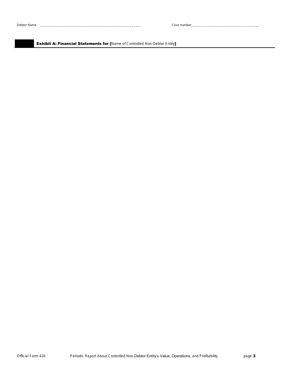Official Form 426 Periodic Report Regarding Value, Operations, and Profitability of Entities in Which the Debtors Estate Holds a Substantial or Controlling Interest, Page 3