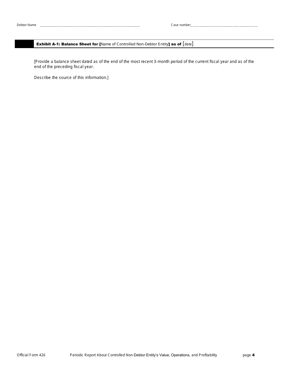 Official Form 426 Periodic Report Regarding Value, Operations, and Profitability of Entities in Which the Debtors Estate Holds a Substantial or Controlling Interest, Page 4