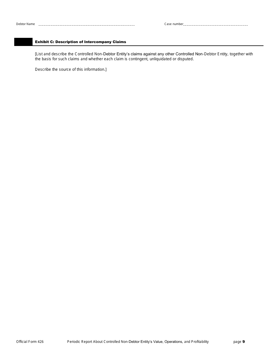 Official Form 426 Periodic Report Regarding Value, Operations, and Profitability of Entities in Which the Debtors Estate Holds a Substantial or Controlling Interest, Page 9